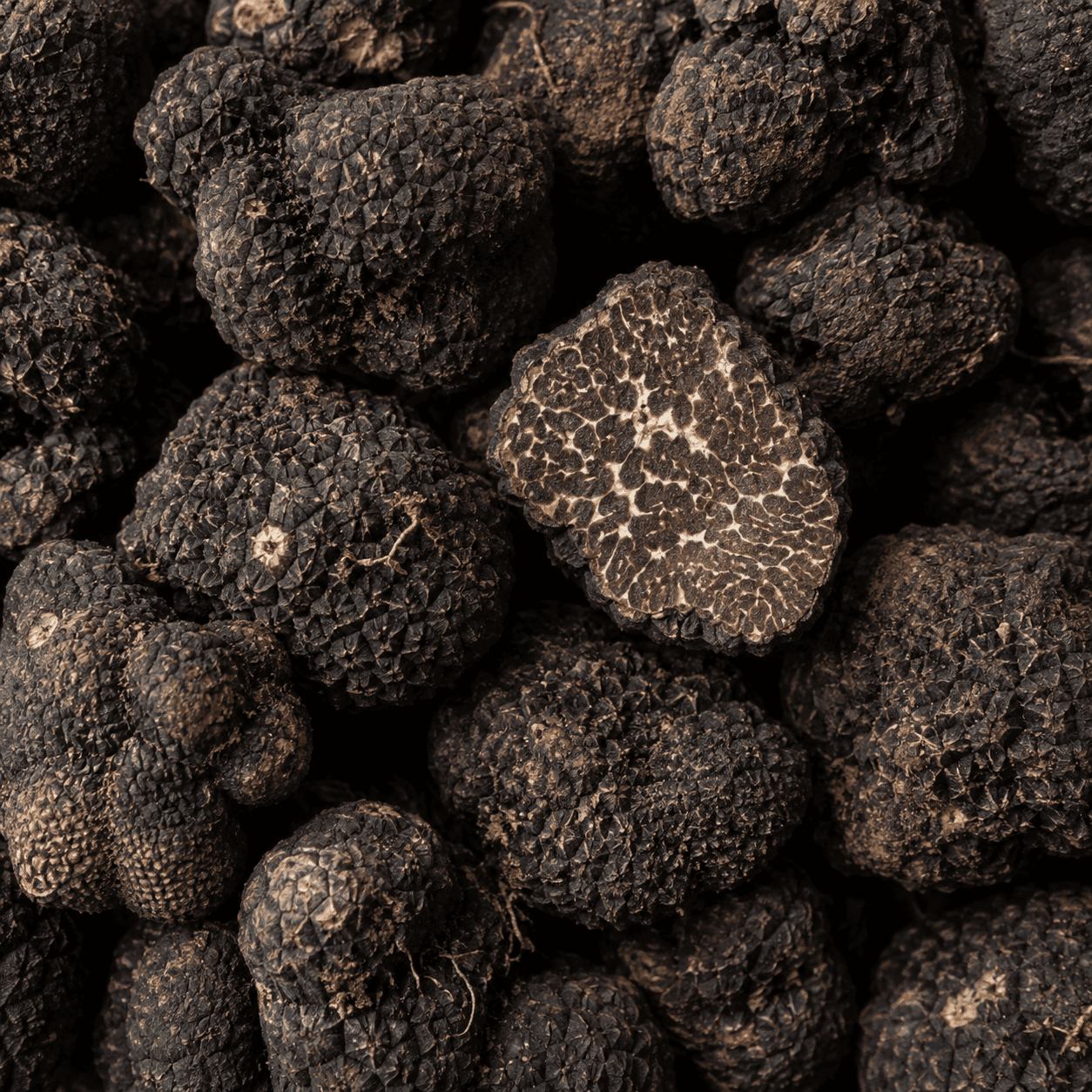 Truffle