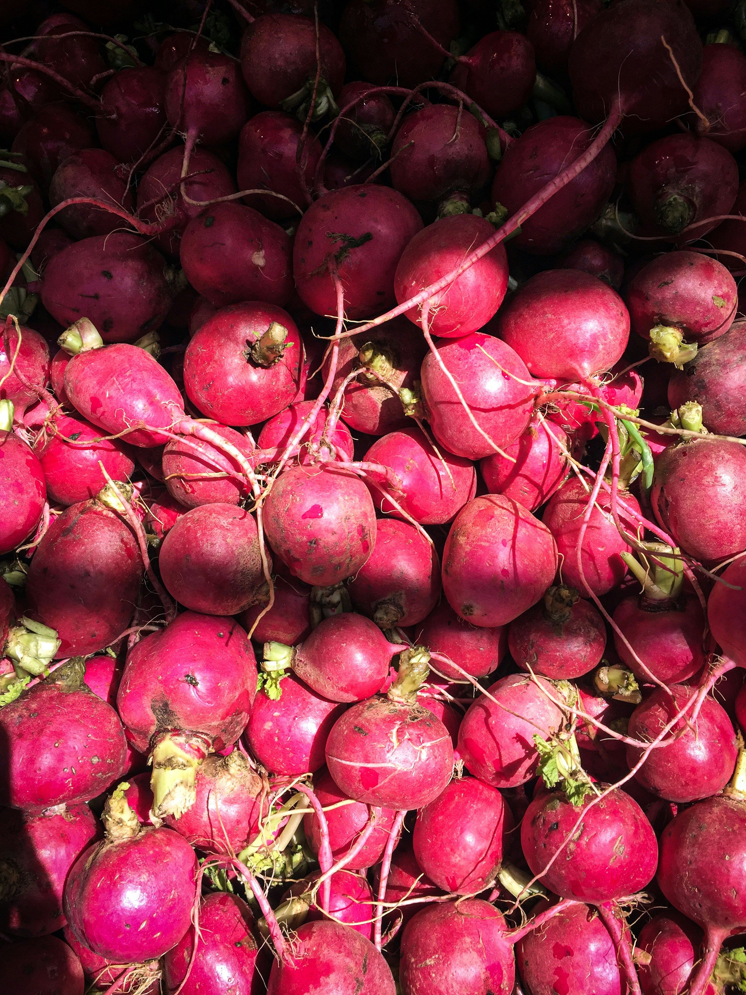 Radish