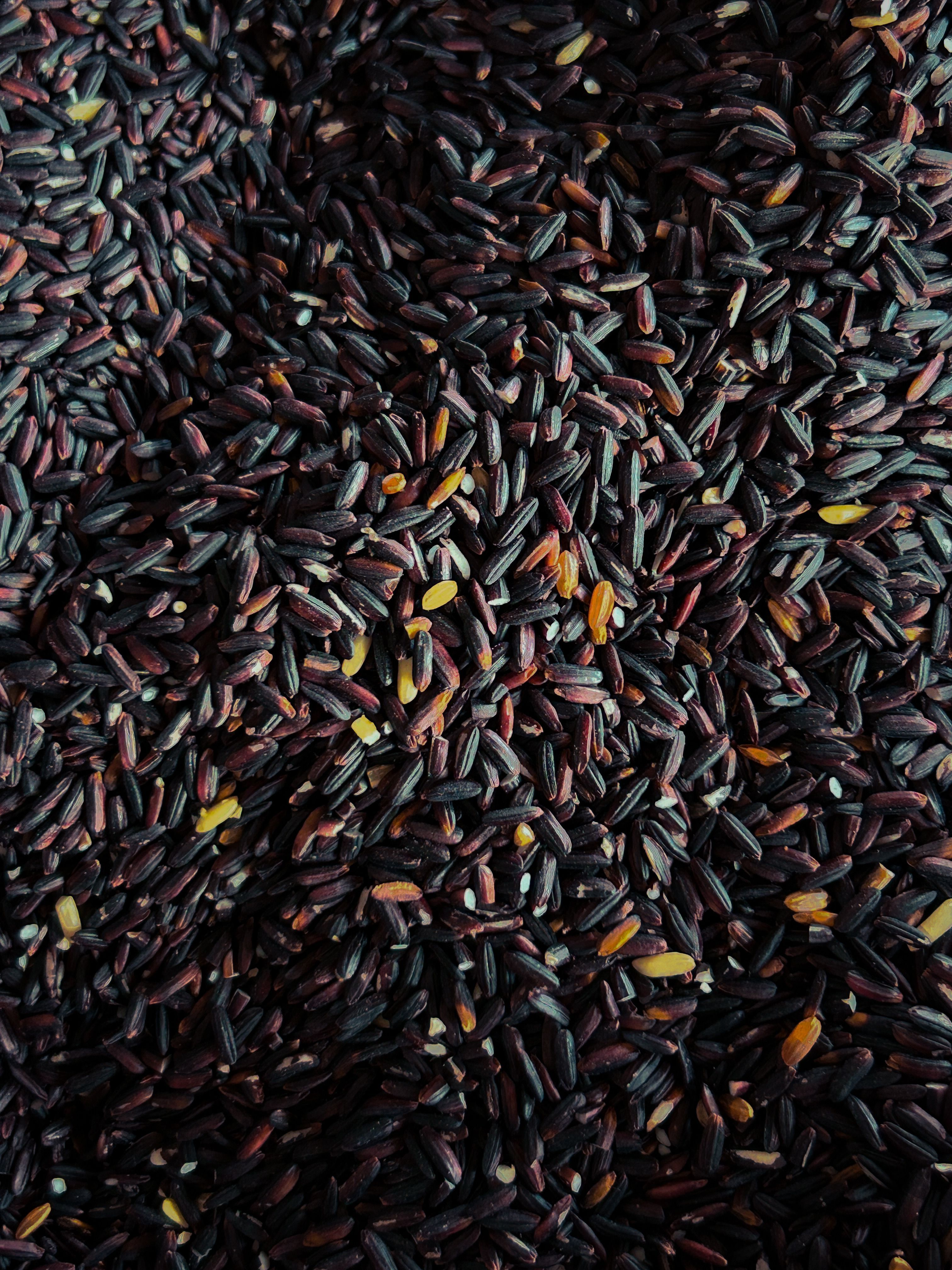Black Rice