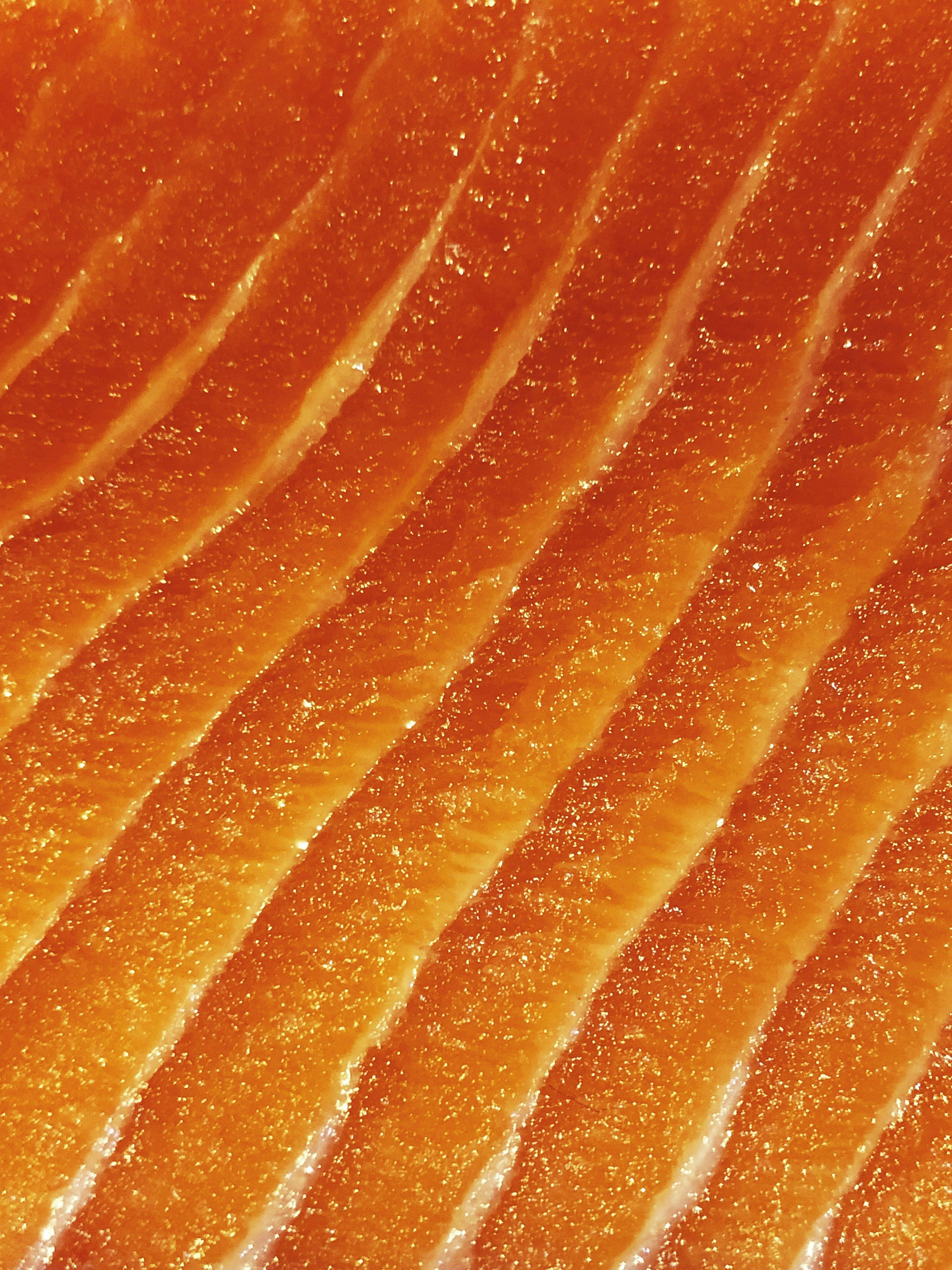 Salmon