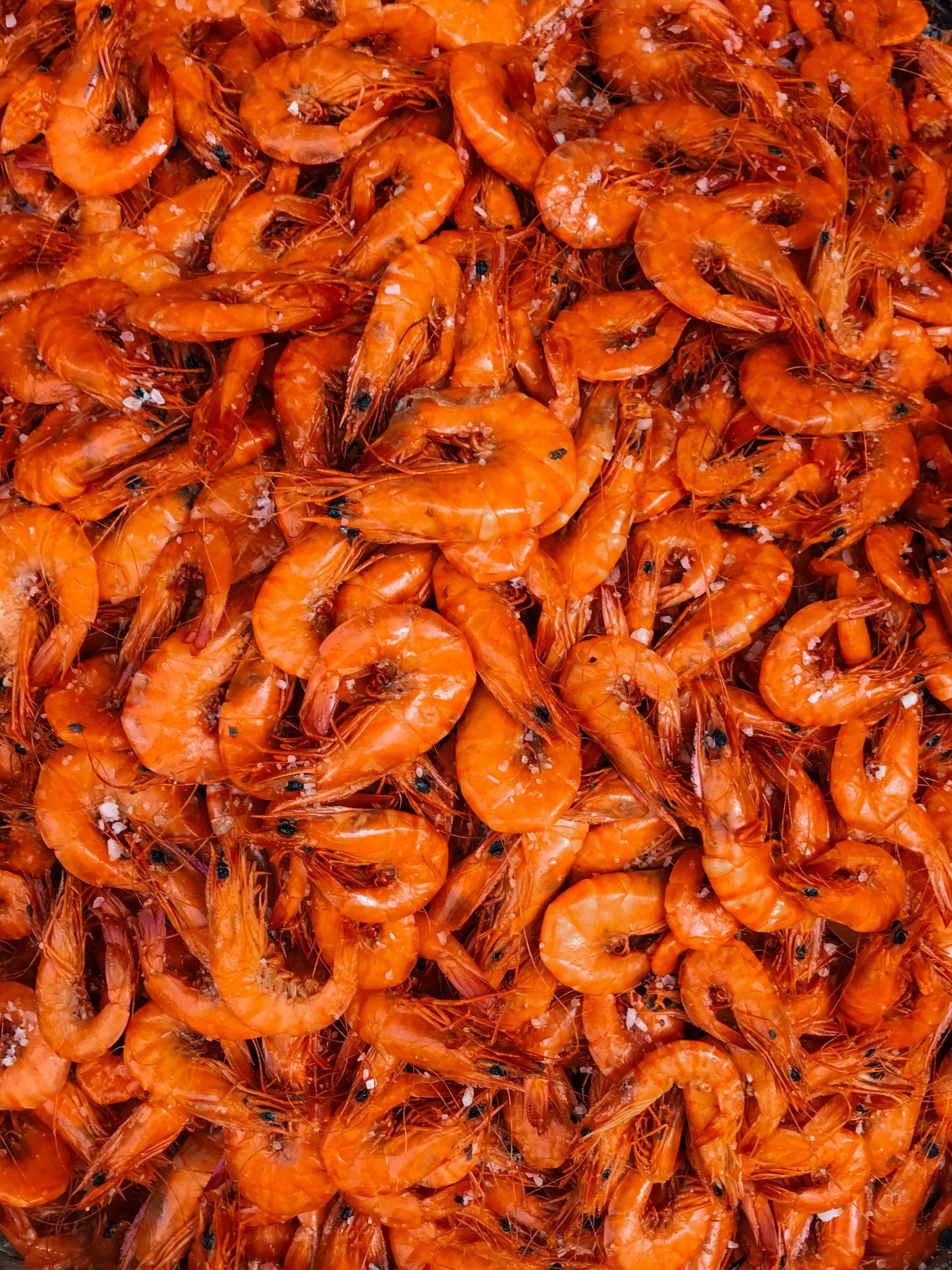 Prawn