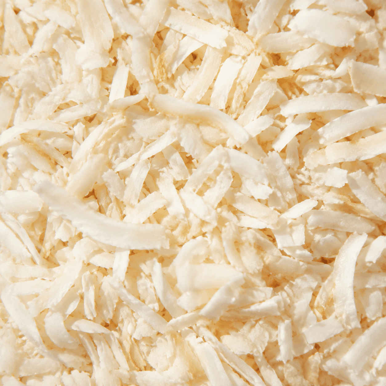 Coconut