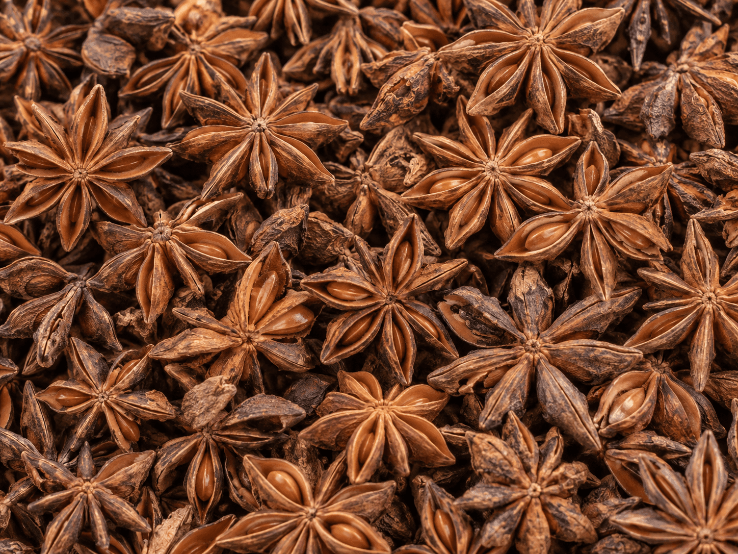 Star Anise