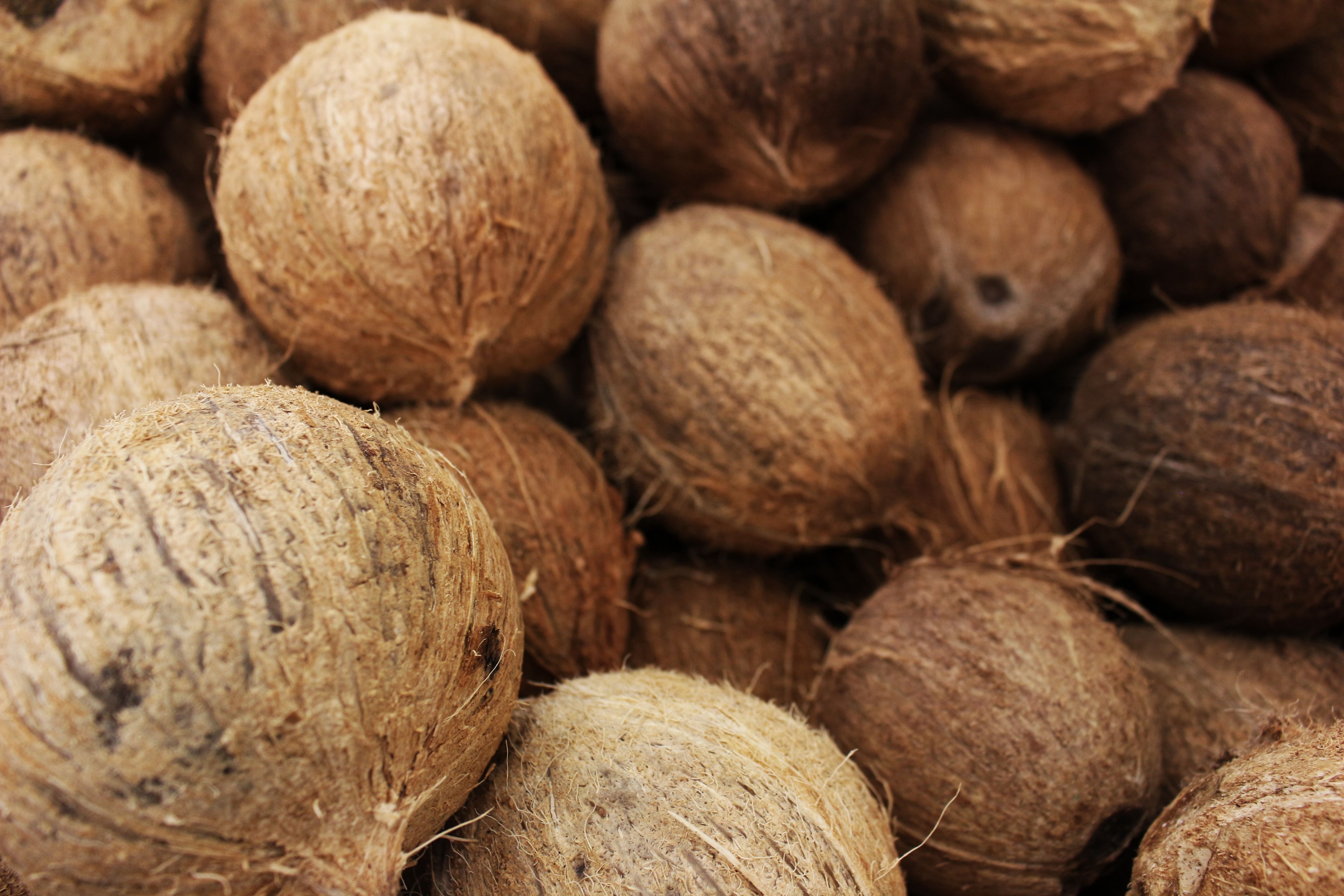 Coconut