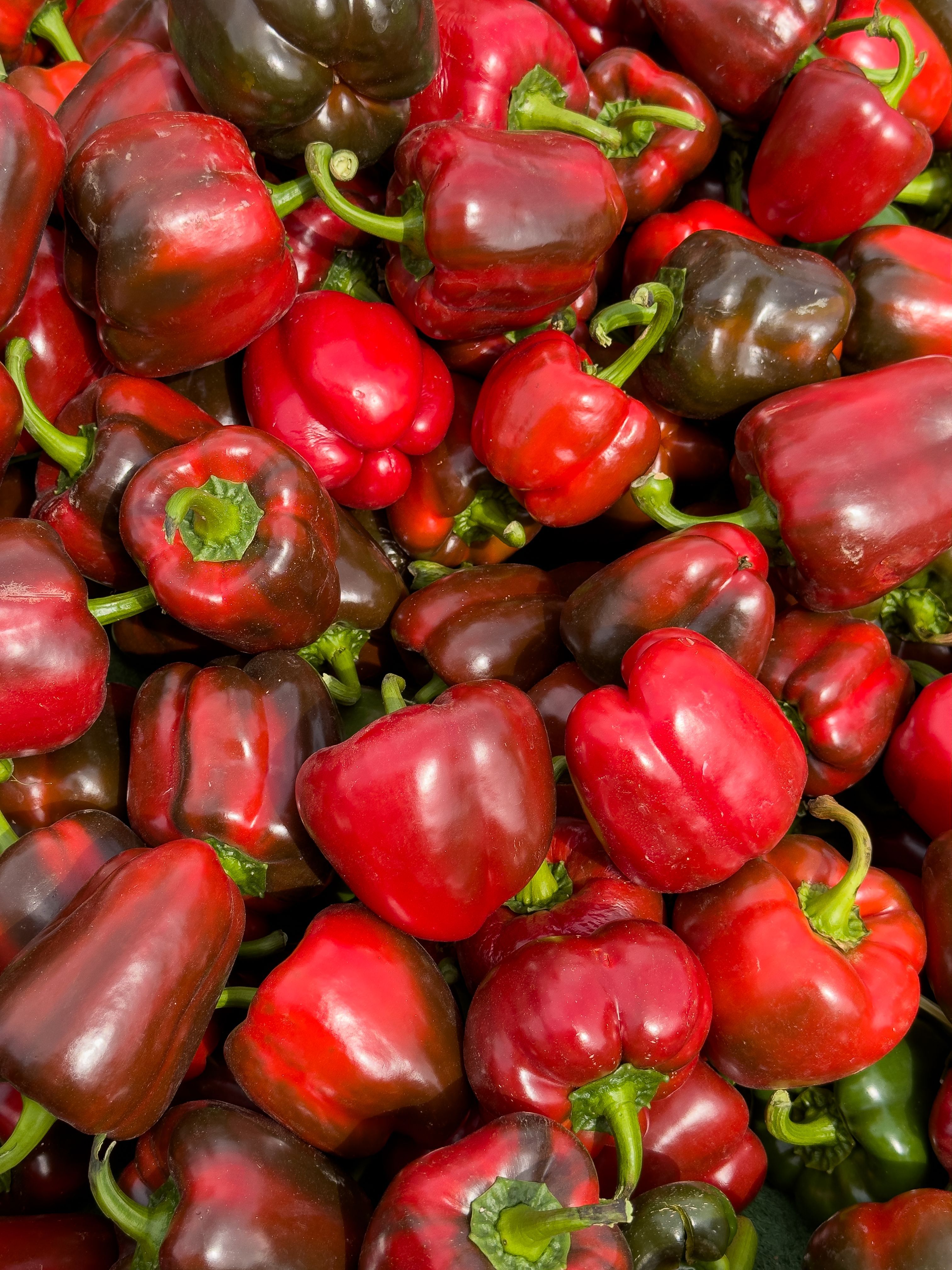 Bell Pepper