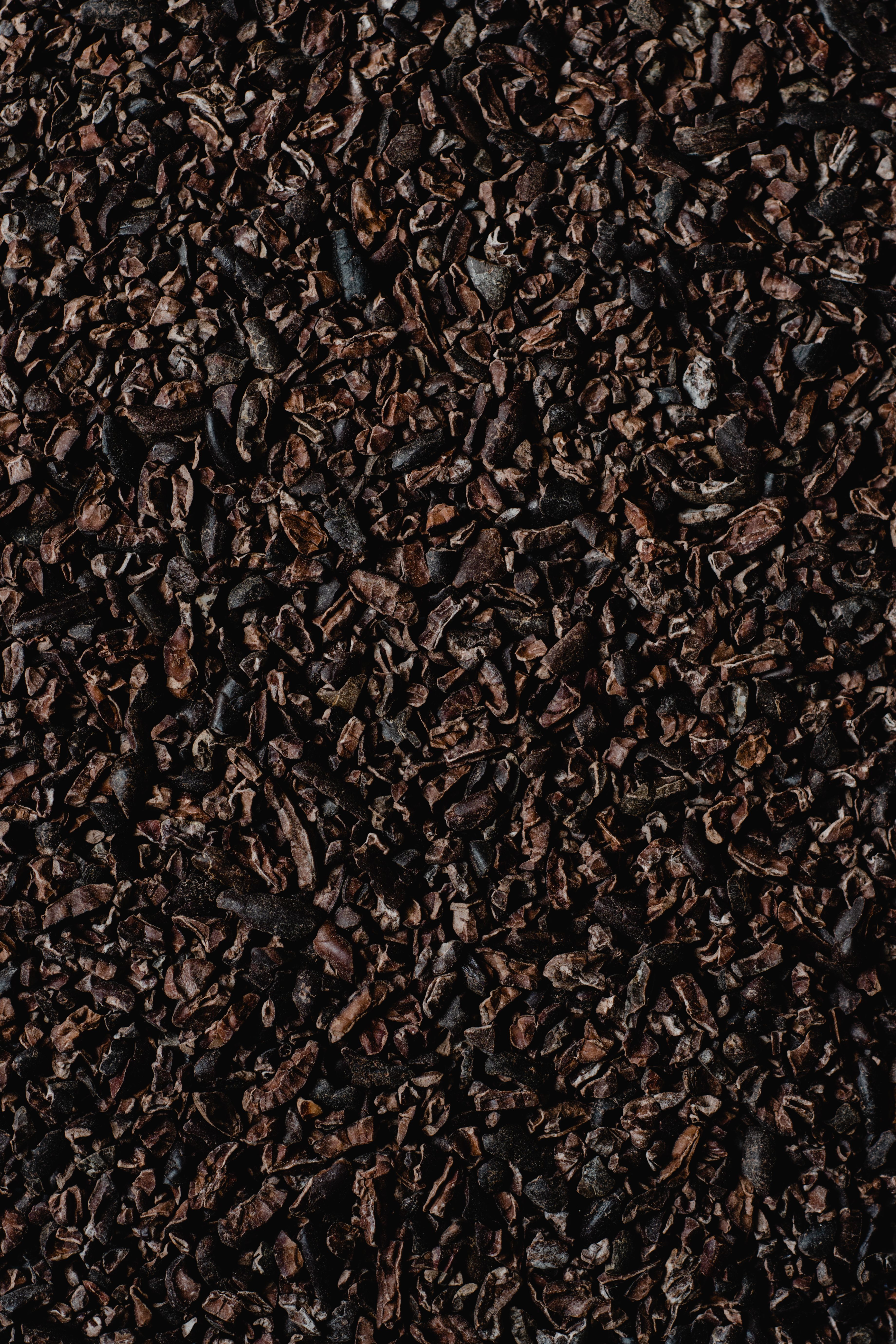 Cacao Nibs
