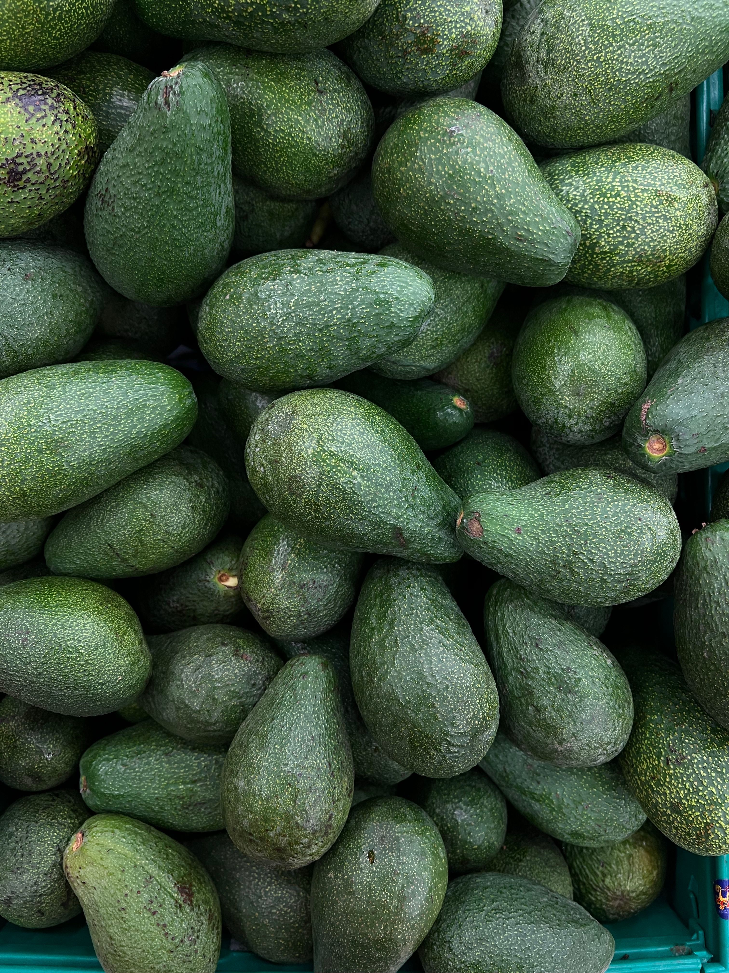 Avocado