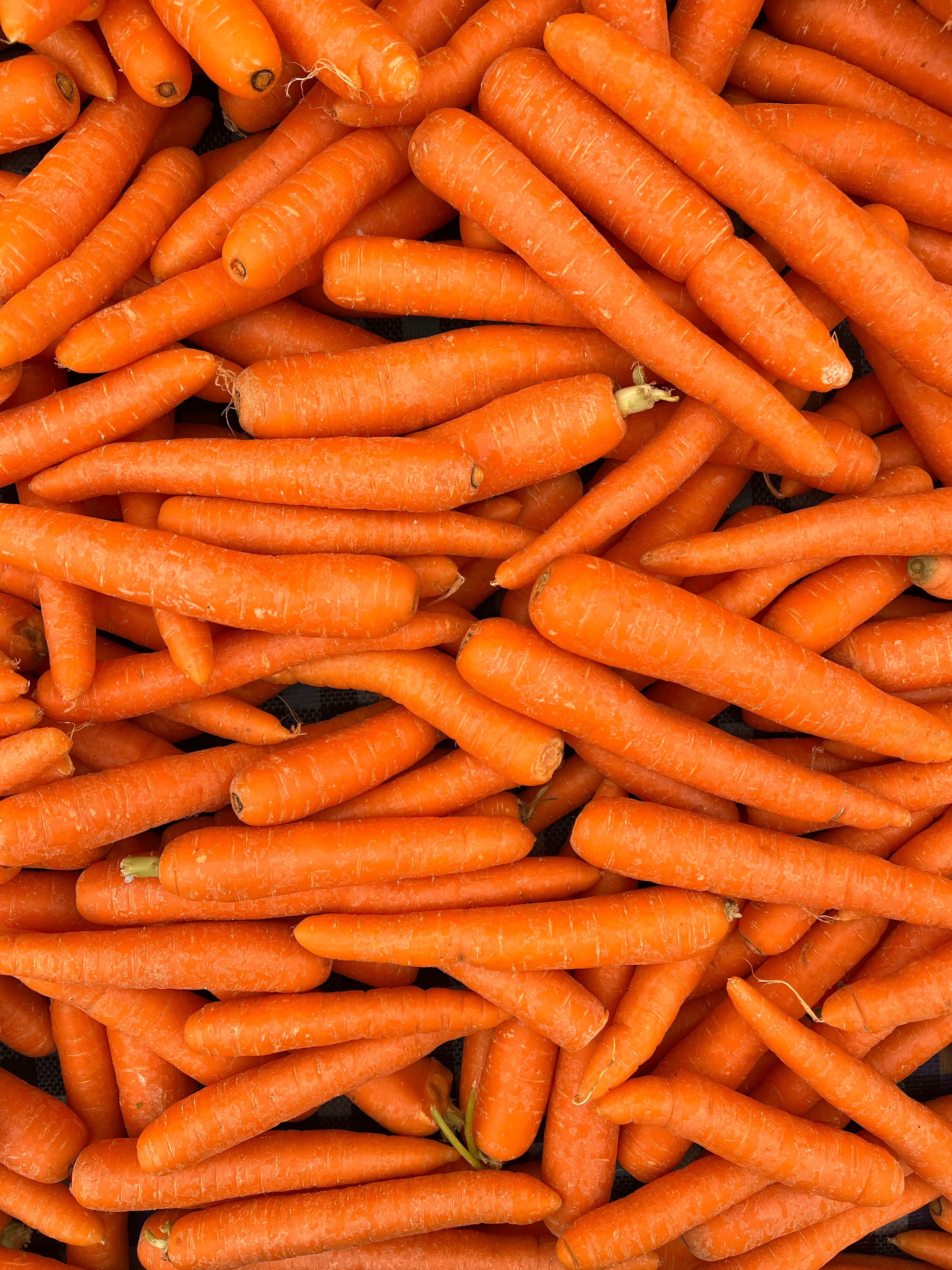 Carrot