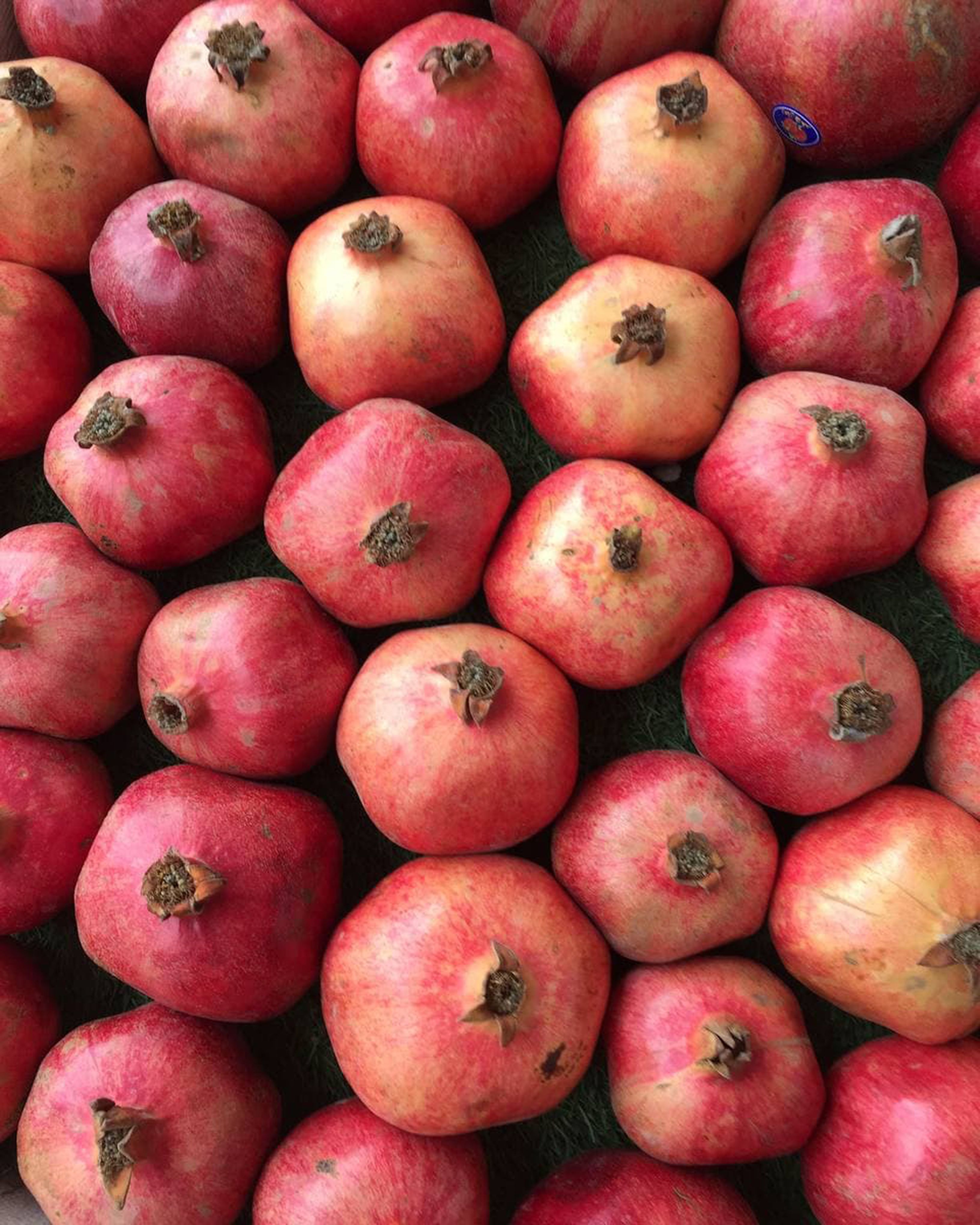 Pomegranate